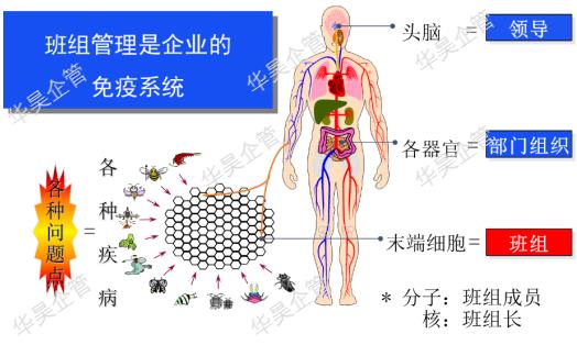 為什么要推行精益五星班組