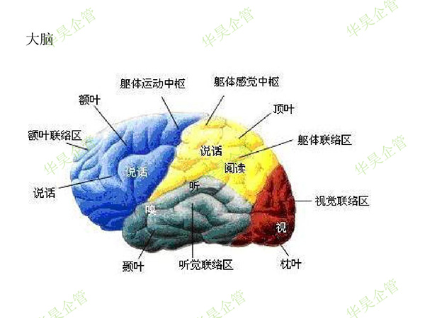生產(chǎn)計(jì)劃|如何理解“計(jì)劃指揮生產(chǎn)”