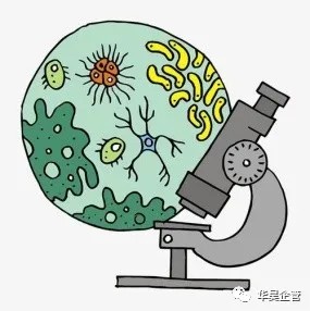 5S應(yīng)用于業(yè)務(wù)改善的理解